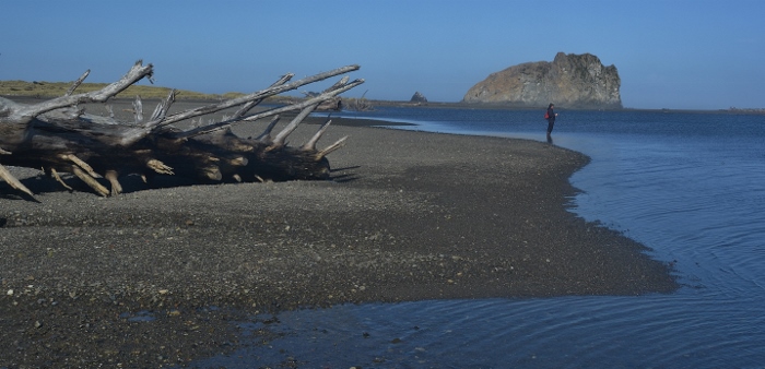 the meeting of river and ocean